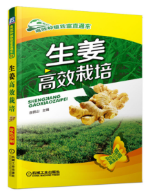 生姜种植技术视频U盘（如何种植大姜） 3书图说南方生姜高效栽培