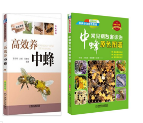 蜜蜂养殖技术视频U盘3书高效养中蜂