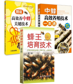 蜜蜂养殖技术视频U盘（中蜂人工育王与换王）3书中蜂高效养殖技术一本通