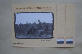 藏書票    希望工程     捉蝎子換紙筆        散片1張