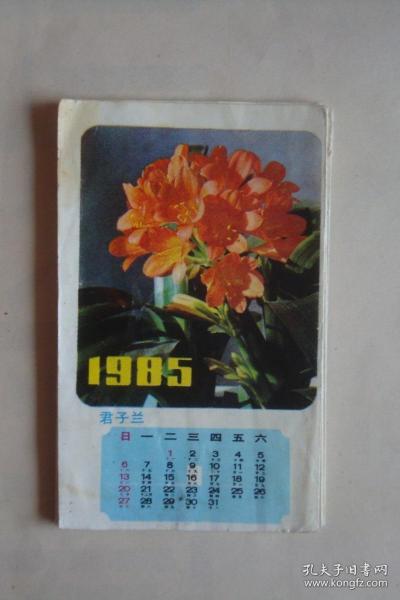 年历    花卉年历   1985