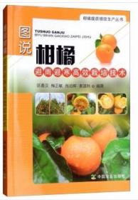 柑桔种植技术书籍 图说柑橘避雨避寒高效栽培技术