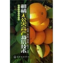柑桔种植技术书籍 水果栽培技术丛书：柑橘无公害高产栽培技术