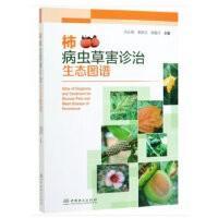 柿子树种植技术书籍  柿病虫草害诊治生态图谱