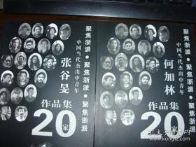 水墨人生之路。中国美院，中国国家画院，张谷旻画集，何加林画集，二种合售。笔墨好，构图愉快，院派风格。