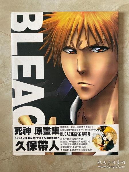 bleach死神原画集久保带人