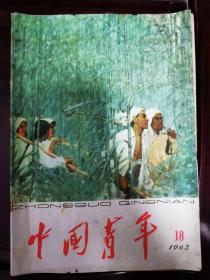 1963年9月16日《中国青年》第18期 中国青年出版社 /正确对待家庭亲属的思想影响：杨秀/人体内的元素：力田/我的教训：林三/水中不沉：路明/抓时间：毅然/对口径：生集。
