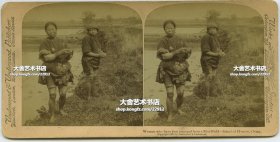 清末民国立体照片-----清代广东广州海珠区河南岛上种植水稻的农妇二人，农业生产，光脚在水塘泥泞中播种。