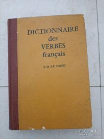 DICTIONNAIRE des VERBES （法語動詞詞典）法文版