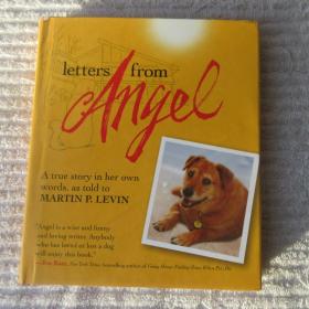 Letters from Angel: A True Story in Her Own Words