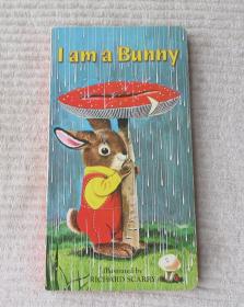 I Am a Bunny (A Golden Sturdy Book)   纸板书