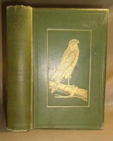 1919年British Birds in Their Haunts《常出没的英国鸟类》金碧辉煌精装大开本 64张绝美彩图