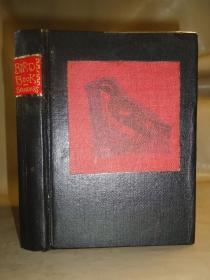 A Bird Book 《鸟书》精装全彩图版 国画水彩风格 极致精美