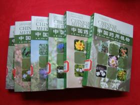 中国药用植物（18、20、22、23、24、25）6本合售