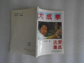 大成拳法要集成