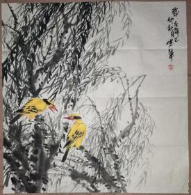 王光华 绘 花鸟画  “ 两个黄鹂鸣翠柳”
    69×67厘米
