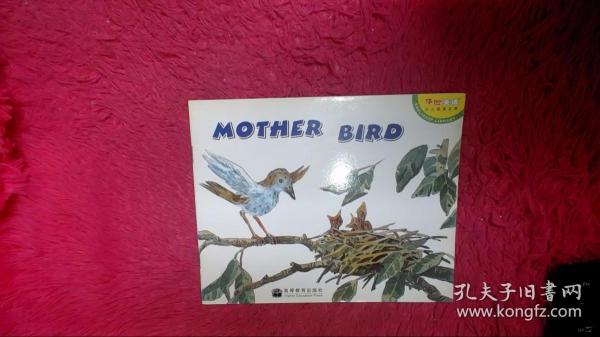 mother bird