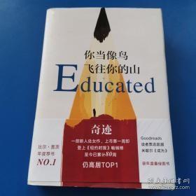 你当像鸟飞往你的山