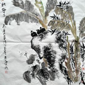 秦海 花鸟斗方（秋酣） 手绘国画作品