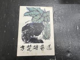 方楚雄画选