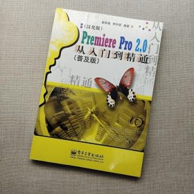 Premiere Pro2.0从入门到精通(普及版)
