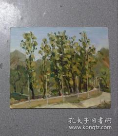 杨树 油画
