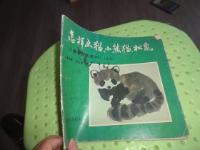 怎样画猫小熊猫 松鼠  实物图 货号97-3