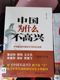 中国为什么不高兴：中华复兴时代知识分子的文化主张【车库东】3-1（2东）