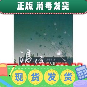 催人泪下的故事：浪迹  王逸飞 著 陕西出版集团,陕西人民出版社