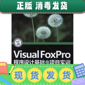 发货快！Visual FoxPro程序设计基础与项目实训 孙承爱,李堂军