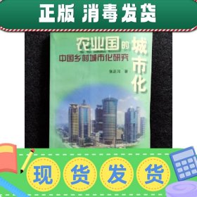 【正版~】农业国的城市化:中国乡村城市化研究