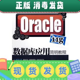 发货快！Oracle 11g数据库应用简明教程 杨少敏 9787302220664