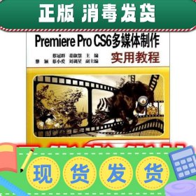 中文版Premiere Pro CS6多媒体制作实用教程  蔡冠群,姜淑慧 编