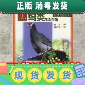 常见鸟类生态图集  肖方 主编 中国林业出版社 9787503829734