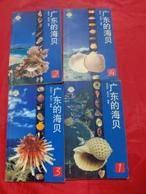 广东的海贝（1-4）4册合售