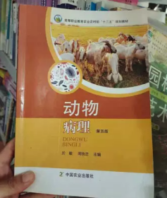 正版二手动物病理於敏第五5版9787109297203中国农业出版社