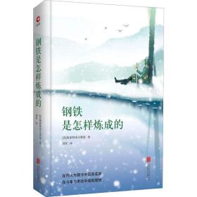 钢铁是怎样炼成的