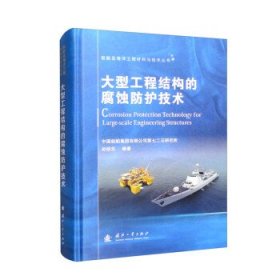 船舶及海洋工程材料与技术丛书:大型工程结构的腐蚀防护技术