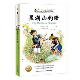童年中国·原创实力作家书系里湖山钓蜂童年中国.原创实力作家书