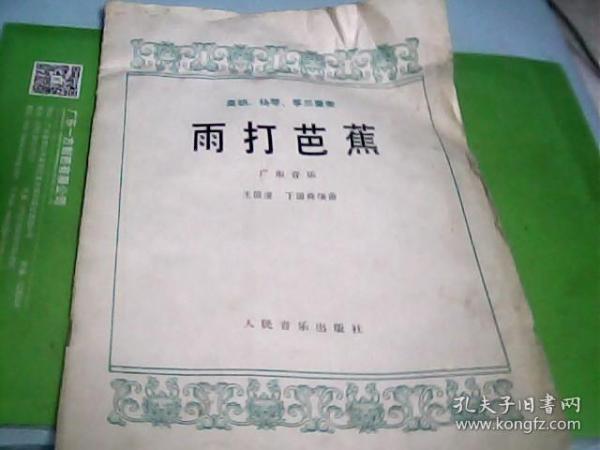 高胡独奏曲谱雨打芭蕉_雨打芭蕉高胡曲谱