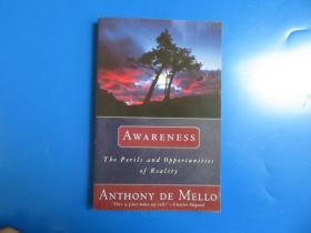Awareness：A de Mello Spirituality Conference in His Own Words