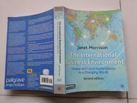 The International Business Environment 英文原版