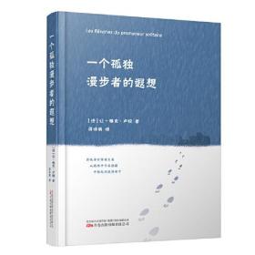 一个孤独漫步者的遐想