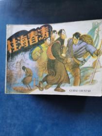 连环画：桂海春涛