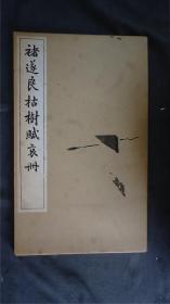 日本【清雅堂】 珂罗版《褚遂良枯树赋哀册》1函1册全，线装大开本，珂罗版 ，品相好【字帖碑帖】——库房XSF0316