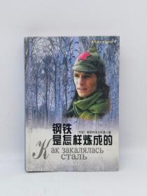 钢铁是怎样炼成的
