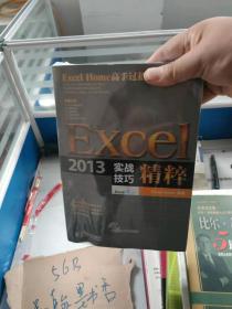 Excel 2013实战技巧精粹（正版塑封）