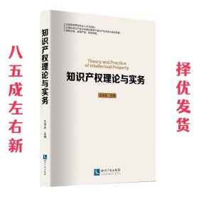 知识产权理论与实务 王洪友 知识产权出版社 9787513041751