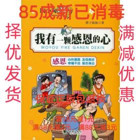 【85成左右新】陶小淘日记:我有一颗感恩的心 橙子姐姐海潮出版社