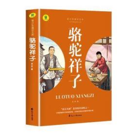 通识文库--骆驼祥子+海底两万里【全2册】中国现代经典小说 名著阅读旁批旁注版 中国经典文学作品 世界名著阅读 青少年通识文库 中学生课外阅读书籍 7-9年级中学生课外阅读绘画书